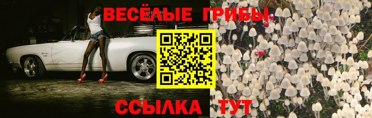 Великий Новгород  Галлюциногенные грибы ЛСД  Вход с VPN  Псилоцибиновые грибы мухоморы 